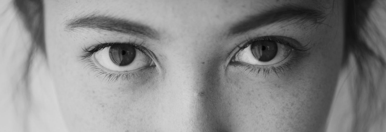 own the if youth collection banner